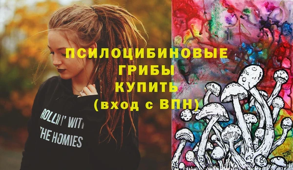 ешки Алзамай