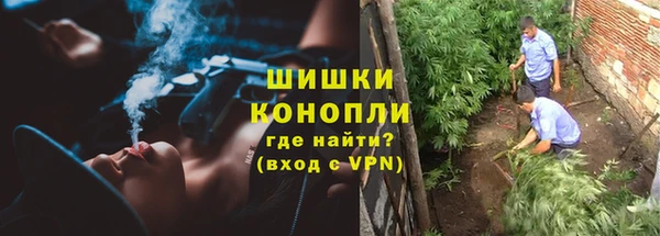 ешки Алзамай